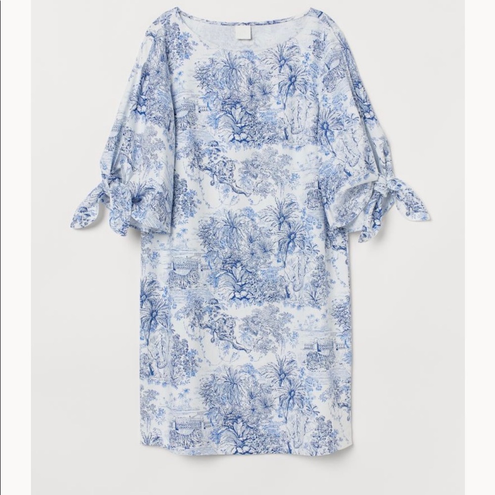 H&M Toile Linen Blend Dress